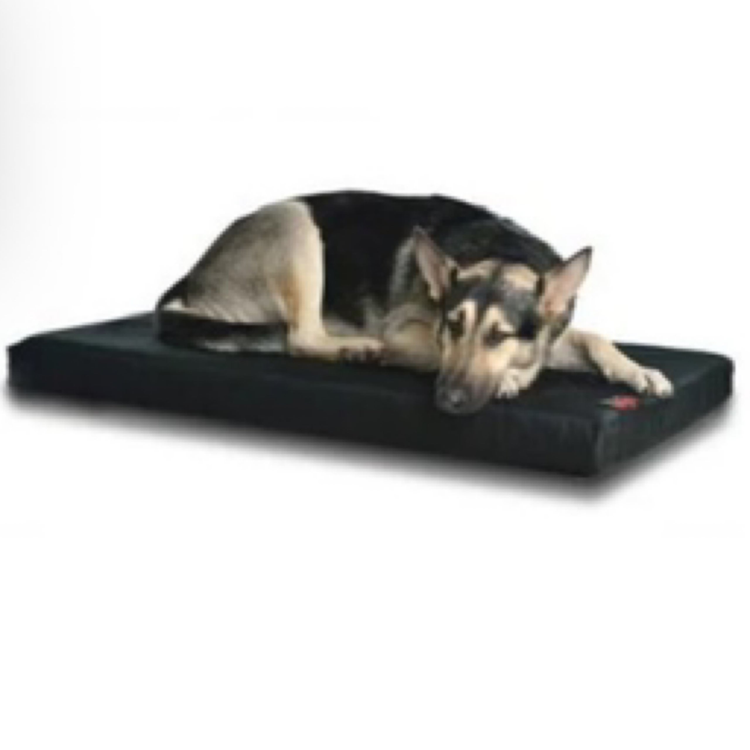 The dog gone smart bed sale
